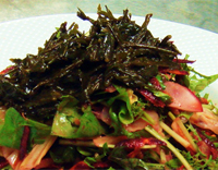 小坪産アカモクと鎌倉野菜のサラダ